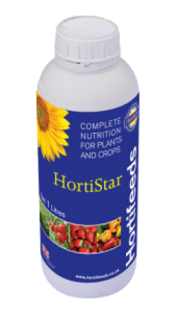 HortiStar